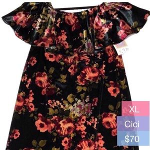 LuLaRoe Cici Dress Velvet Floral XL